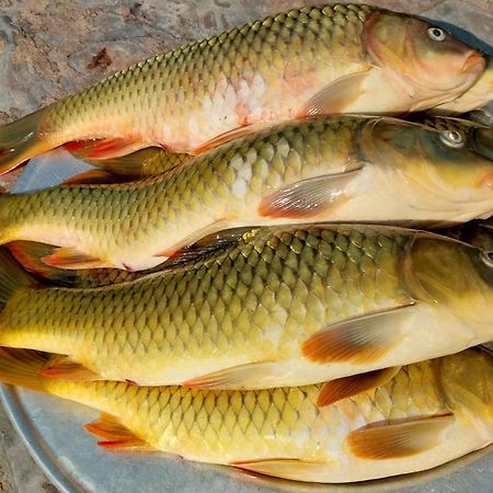 Nasan Green Farm Cao Bang Eksteriør bilde